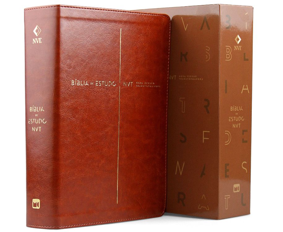 Bíblia NVT para estudar versículos bíblicos sobre sucesso profissional