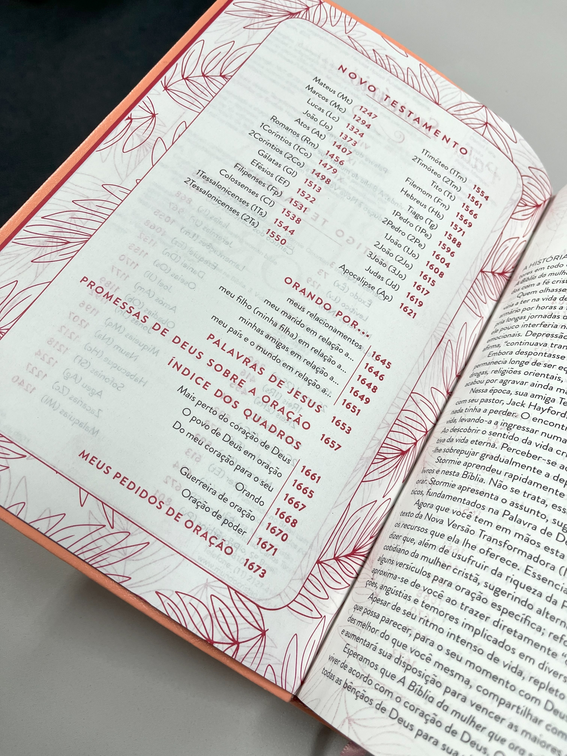 A Bíblia das meninas – Editora Mundo Cristão